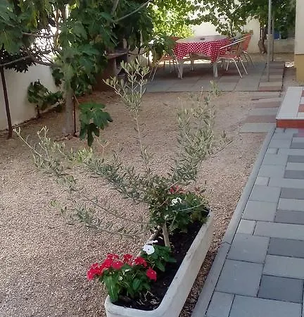 Danica Apartamento *